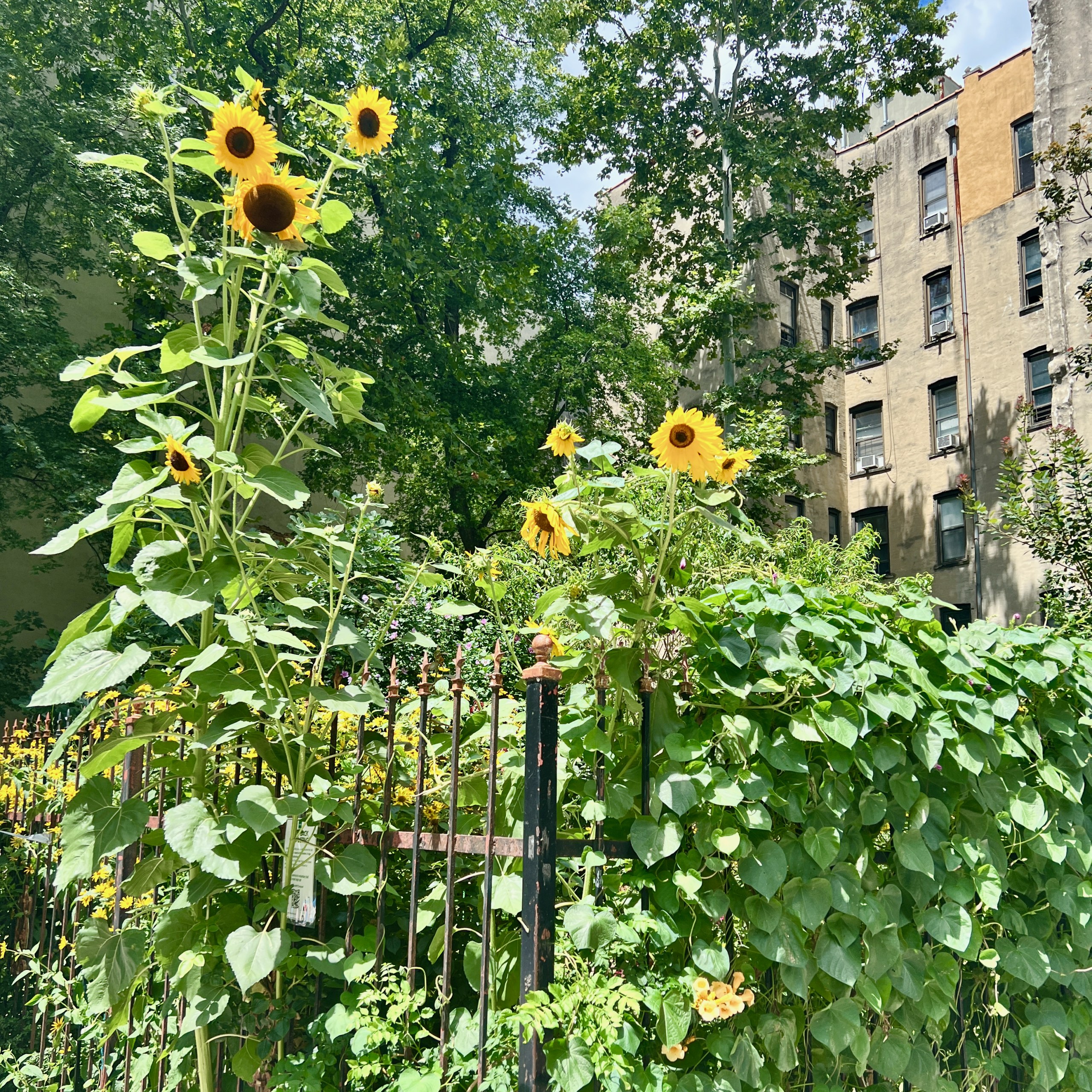 New York City, October 2022